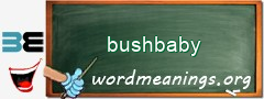 WordMeaning blackboard for bushbaby